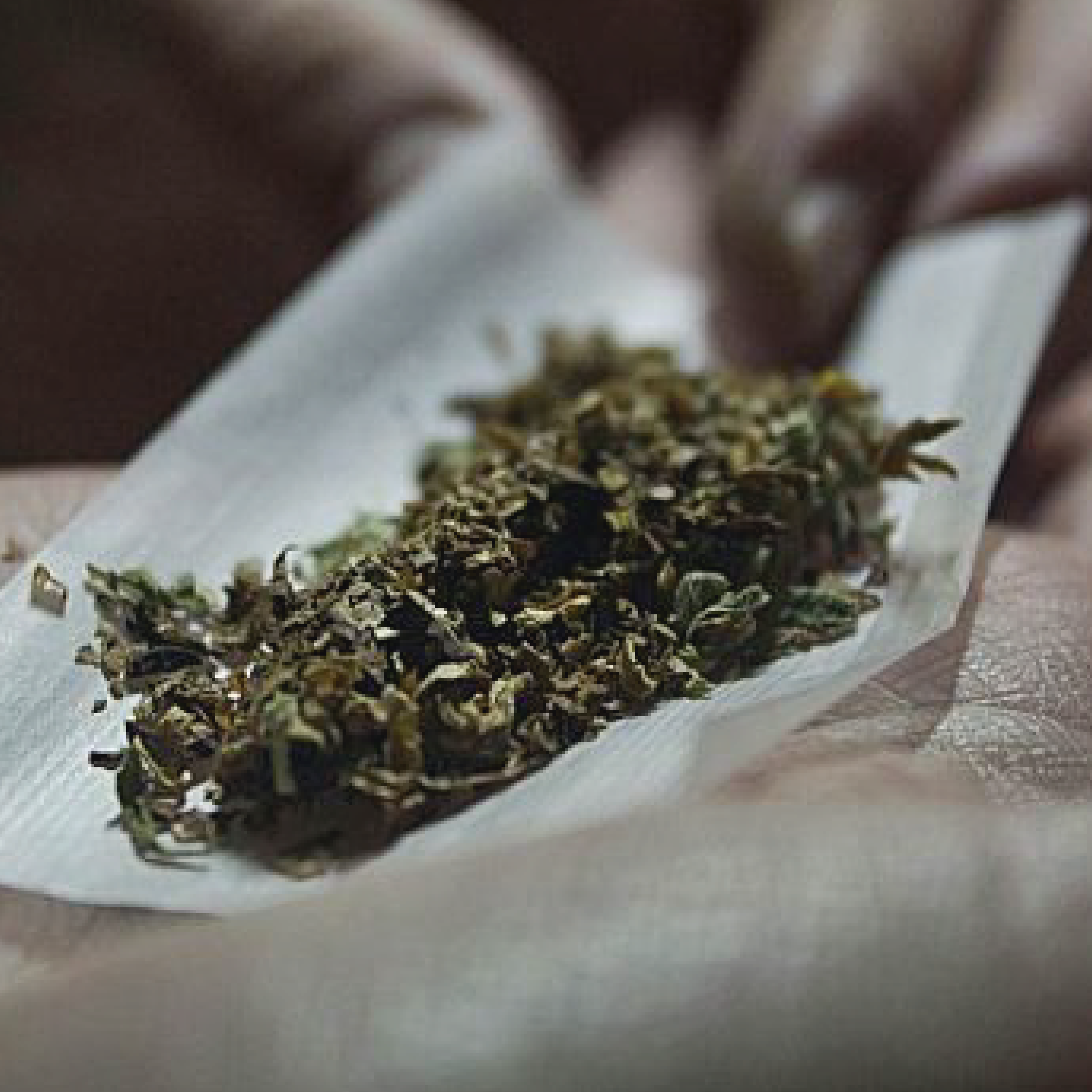Marihuana: mitos y realidades